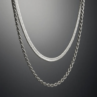 Elegant Double-Layered Silver Necklace – Herringbone & Rope Chain - Everray.in
