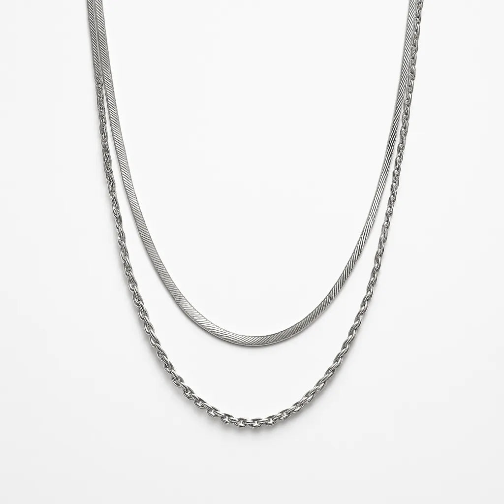 Elegant Double-Layered Silver Necklace – Herringbone & Rope Chain - Everray.in